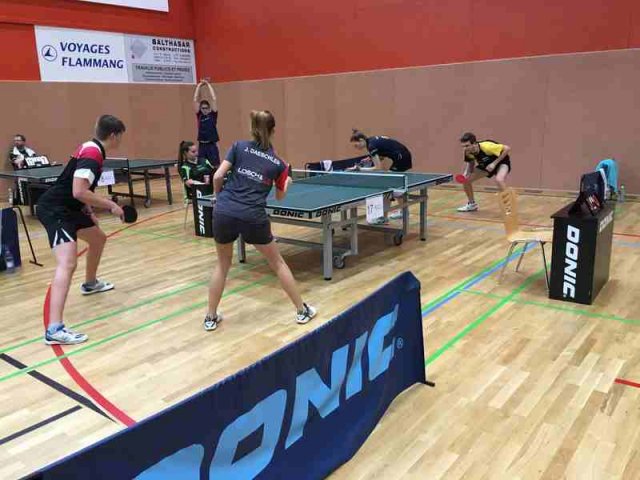 1485784563img_6995_kleng